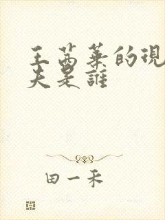 王茜华的现任丈夫是谁