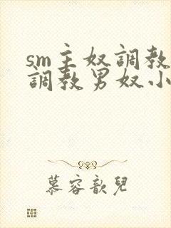sm主奴调教:调教男奴小说
