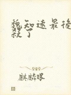 魏知远最后被谁杀了封面