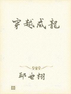 穿越成龙封面
