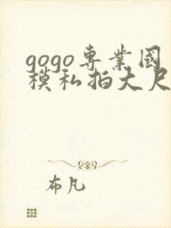 gogo专业国模私拍大尺度