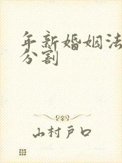 年新婚姻法房产分割封面