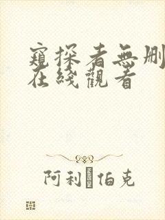 窥探者无删减版在线观看