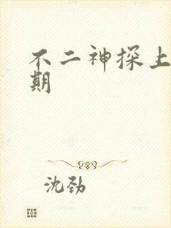 不二神探上映日期