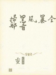 扫黑风暴全集在哪看封面