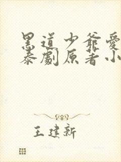 黑道少爷爱上我泰剧原著小说