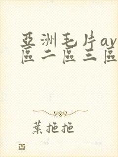 亚洲毛片av一区二区三区