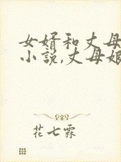 女婿和丈母娘的小说,丈母娘是双胞胎的