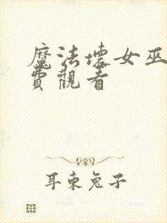 魔法坏女巫2免费观看封面