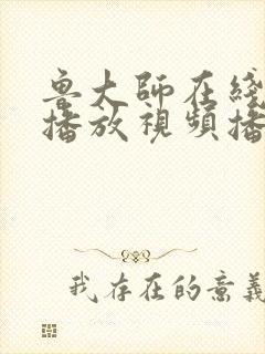 鲁大师在线观看播放视频播放
