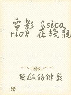 电影《sicario》在线观看