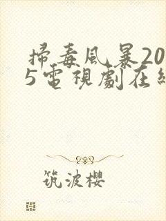 扫毒风暴2025电视剧在线播放免费观看全集