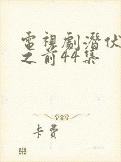 电视剧潜伏黎明之前44集