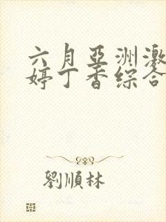 六月亚洲激情婷婷丁香综合网