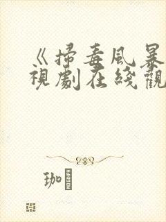 《扫毒风暴》电视剧在线观看高清