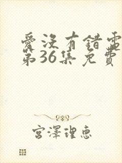 爱没有错电视剧第36集免费观看