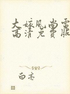 大嫁风尚电视剧高清免费版