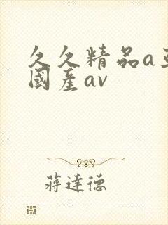 久久精品a亚洲国产av