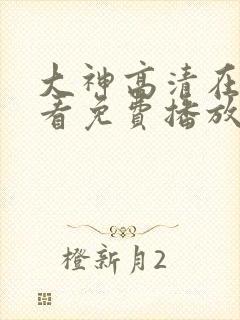 大神高清在线观看免费播放电视剧