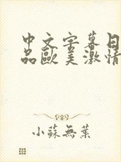 中文字幕日韩精品欧美激情