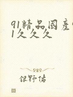 91精品国产91久久久