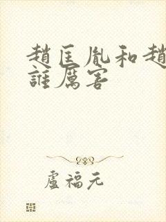 赵匡胤和赵光义谁厉害