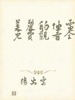 美丽的他电影版免费观看全集高清封面