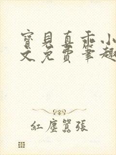 宝贝真乖小说全文免费笔趣阁