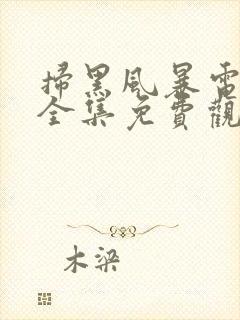 扫黑风暴电视剧全集免费观看完整版