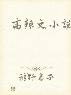 高辣文小说