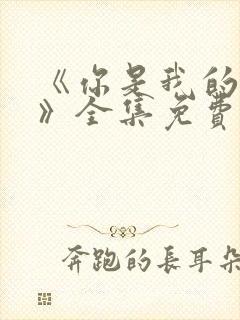 《你是我的荣耀》全集免费看