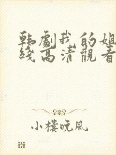 韩剧我的姐姐在线高清观看封面