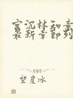 宫沉林知意小说最新章节列表