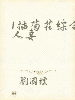 1插菊花综合网人妻