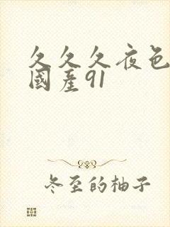 久久久夜色精品国产91