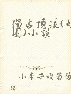 独占顶流(娱乐圈)小说