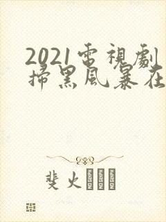 2021电视剧扫黑风暴在线观看