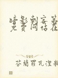 暗影刺客第五季免费网站在线观看