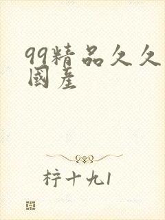 99精品久久久国产