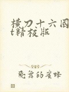 横刀十六国txt精校版封面