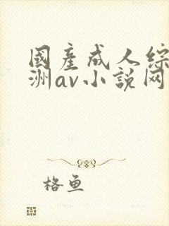 国产成人综合亚洲av小说网站