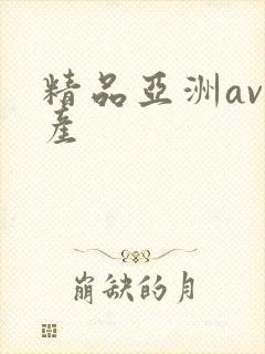 精品亚洲av国产