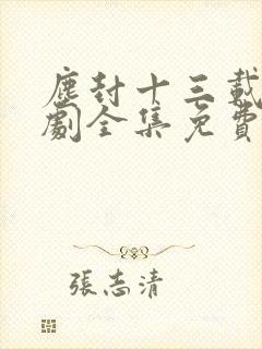 尘封十三载电视剧全集免费观看完整版