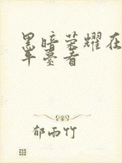 黑暗荣耀在什么平台看