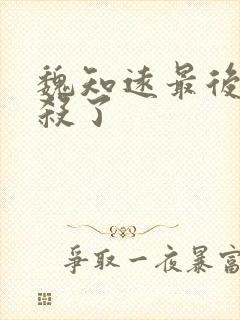 魏知远最后被谁杀了封面