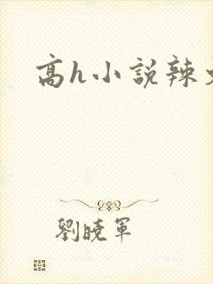高h小说辣文封面
