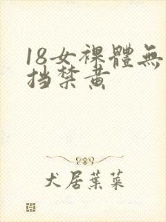 18女裸体无遮挡禁黄封面