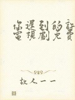 你迟到的许多年电视剧免费封面