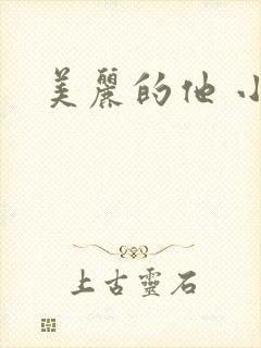 美丽的他 小说