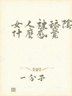 女人被舔阴蒂是什么感觉
